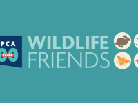 RSPCA relaunches family-friendly wildlife volunteering