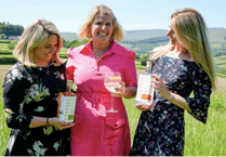 StartUp awards nomination for Brecon's Cascave Gin 
