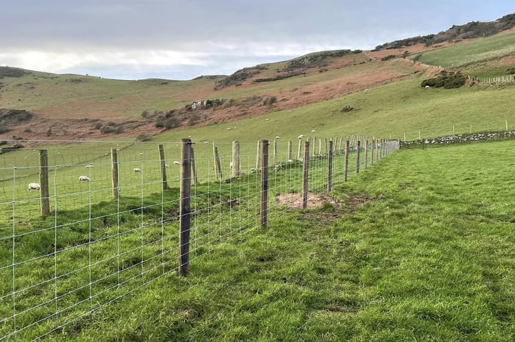 Fencing and Gate Installation Post and Strained Wire
