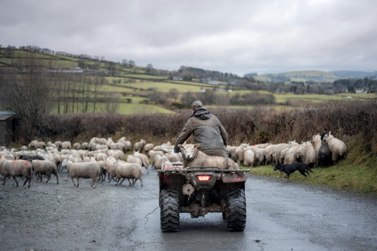 Farmer in Wales