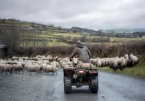 Wales raises agricultural minimum wage rates