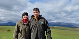 Data driven decision making is key to sustainability says report