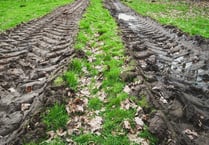 Farming union urges action amid wet weather woes