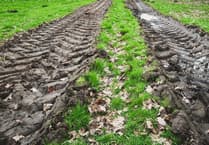 Farming union urges action amid wet weather woes