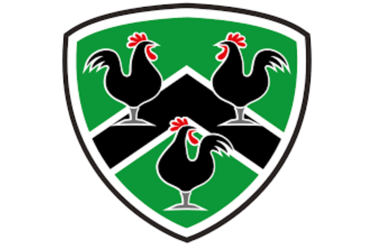 Gwernfyed RFC