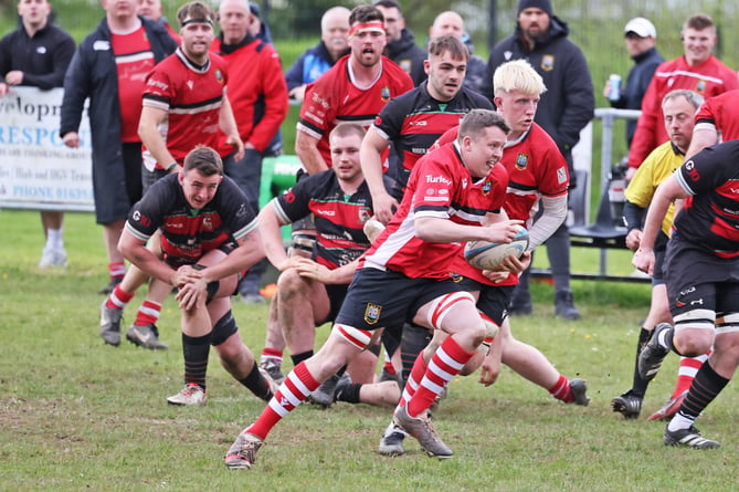 Brecon rugby