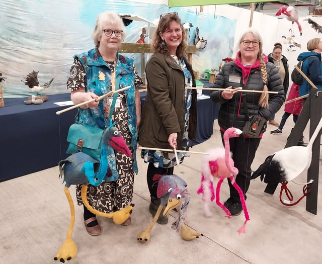 Wonderwool Wales 2024 'one of the best ever' shows