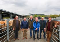 Farmers share stories of prostate cancer at Brecon Livestock Market