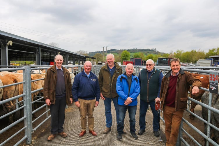 Farmers at Brecon Livestock Market