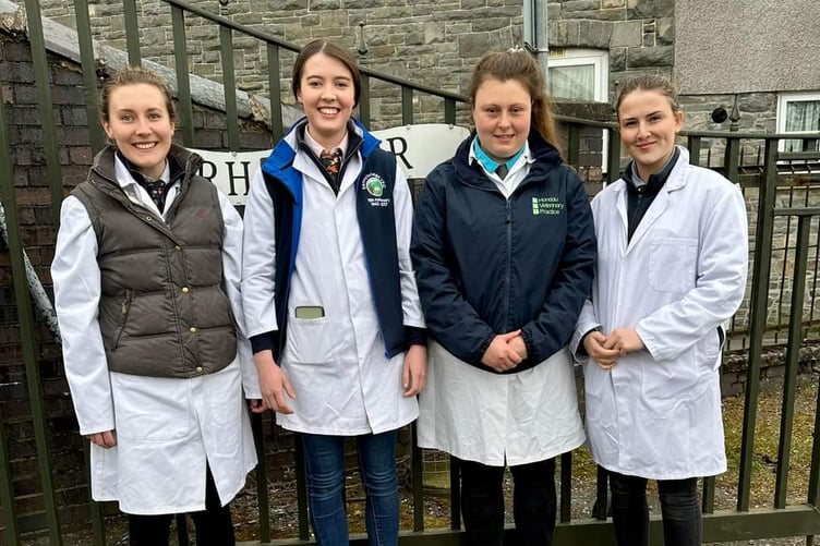 The Senior Stockjudging Team