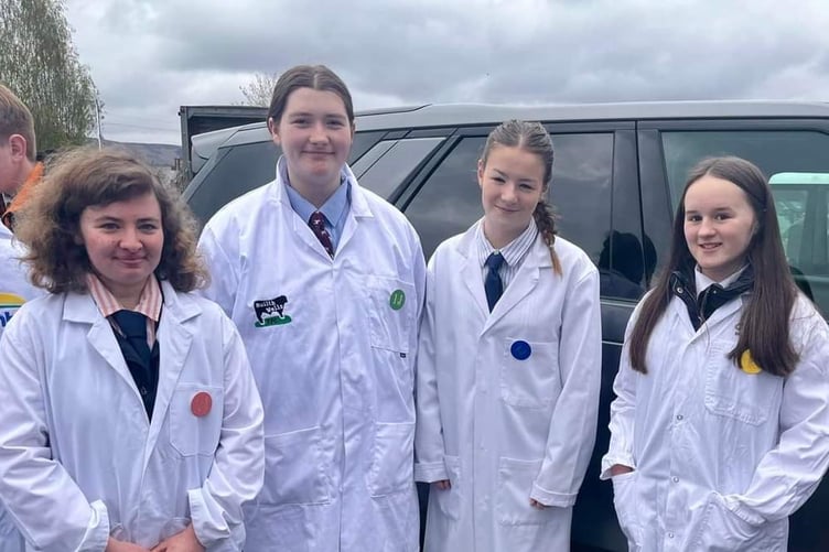 The Junior Stockjudging Team
