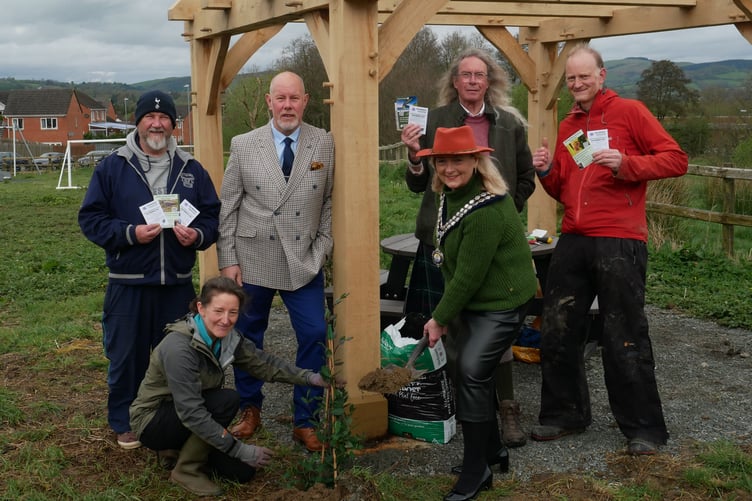 Llandrindod Wells Nature and Play Park