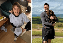 Paw-litical pooches set to go head to head in competition