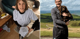Paw-litical pooches set to go head to head in competition
