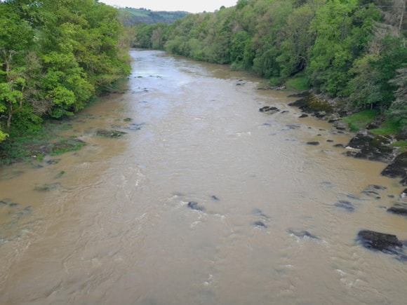 Brown discolouration in the River Wye