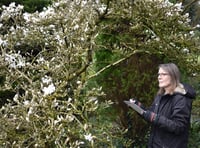 Welsh Marches garden attraction appoints new artist in residence