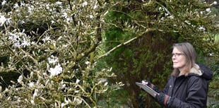 Welsh Marches garden attraction appoints new artist in residence