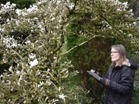 Welsh Marches garden attraction appoints new artist in residence