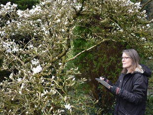 Welsh Marches garden attraction appoints new artist in residence