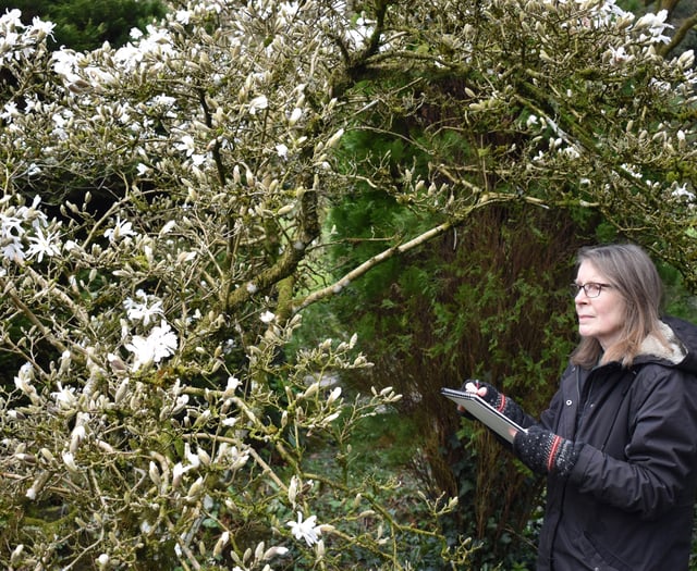 Welsh Marches garden attraction appoints new artist in residence