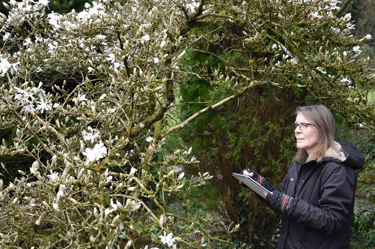 Artist in residence Chris Williams at Hergest Croft Gardens.