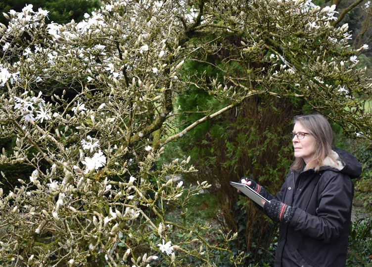 Artist in residence Chris Williams at Hergest Croft Gardens.