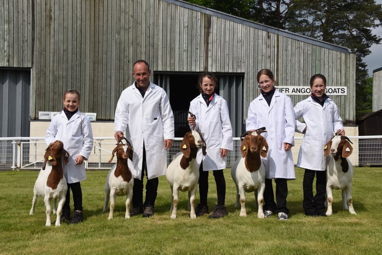 Smallholding and Countryside Festival