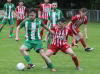 Turfs trample Red Kites' hopes in semi