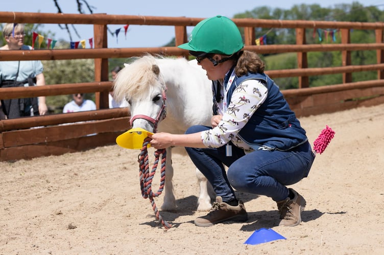 Lluest Horse and Pony Trust