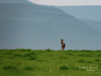 Video: Picture This - The best of Spring!