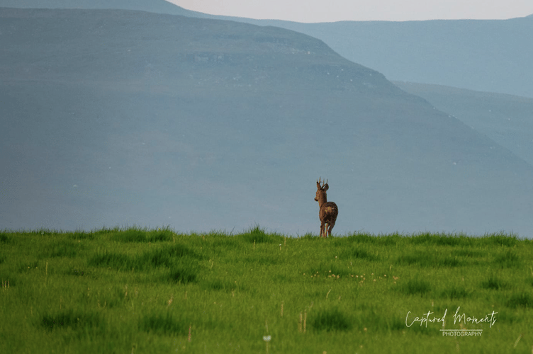 Captured Moments Photography