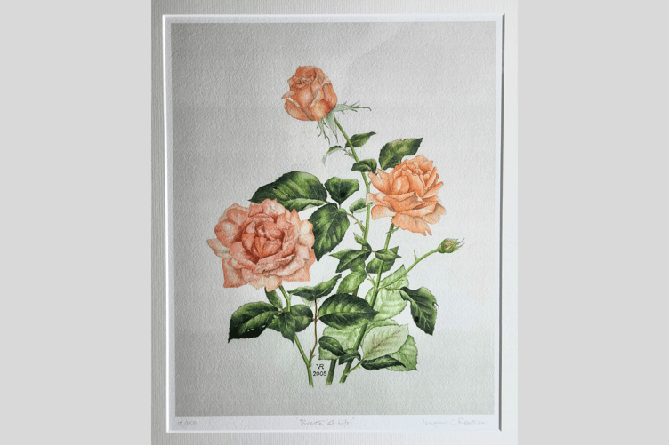 Contemporary artist Virginia Robotham features in the exhibition