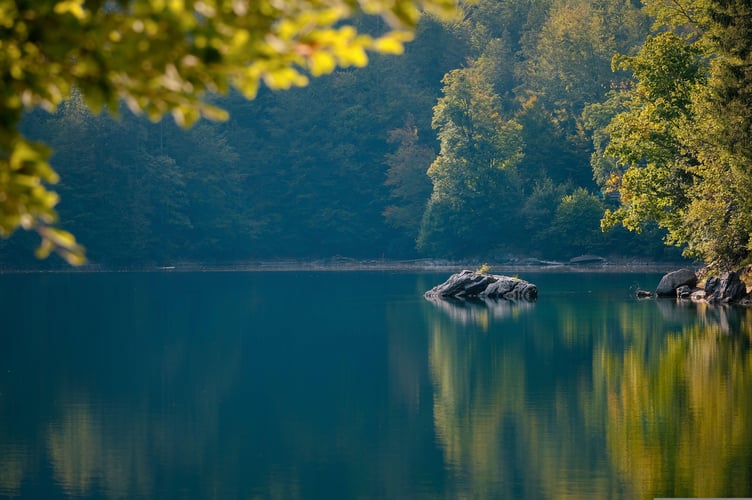 Image by Karl Egger from Pixabay