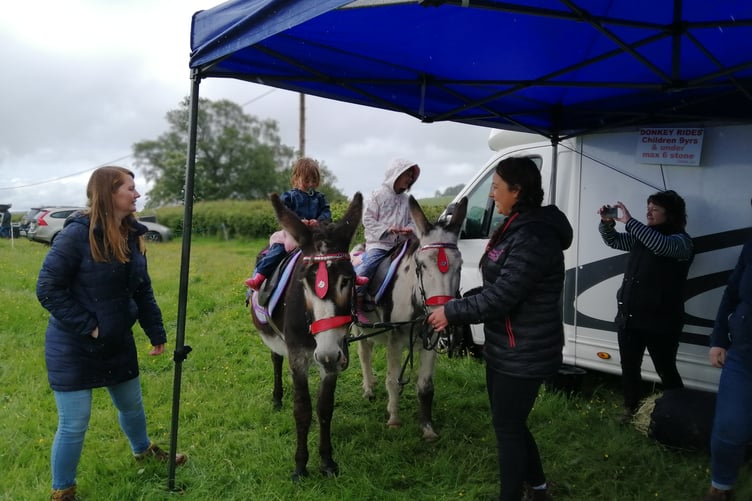 Donkey rides in the rain