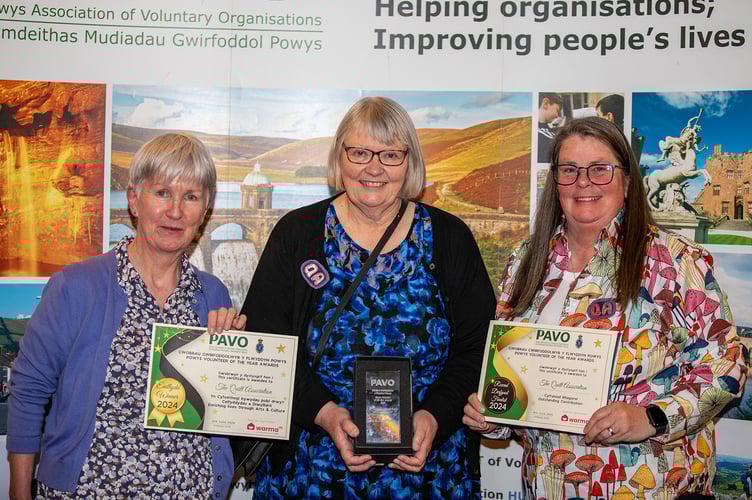 Enriching Lives through Art and Culture group winners The Quilt Association.