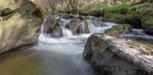 Radnorshire Wildlife Trust launch rivers appeal