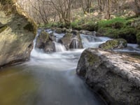 Radnorshire Wildlife Trust launch rivers appeal