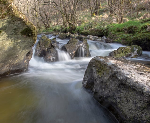 Radnorshire Wildlife Trust launch rivers appeal