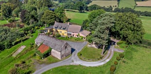 "Whimsical" property for sale has its own library and "idyllic" views 