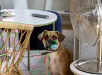 Experts reveal how to keep your home cool this summer 