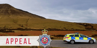 Police appeal for information after person dies in traffic collision
