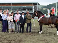 11 must-do activities at this year's Royal Welsh Show
