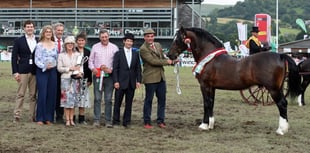 11 must-do activities at this year's Royal Welsh Show