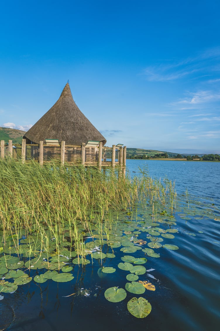 Crannog of Llangorse Lake