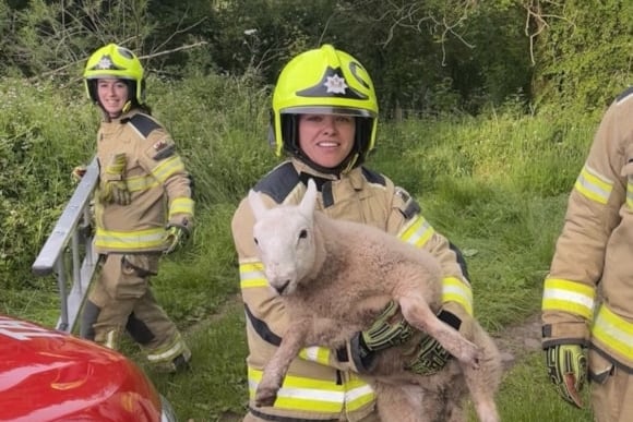 The fire crew with the rescued lamb