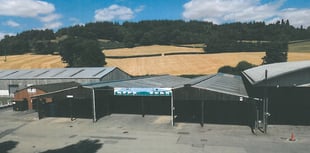 Five-year delay for Showground building project