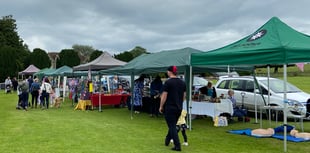 Three Cocks Matters Summer Show a resounding success