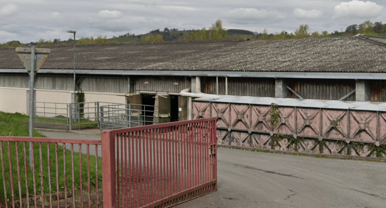 Brecon Livestock Market