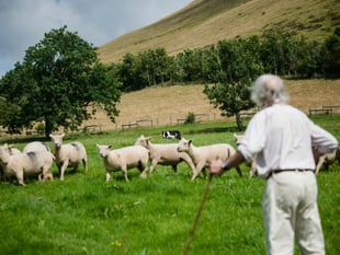 New campaign to tackle rural crime comes to Royal Welsh Show
