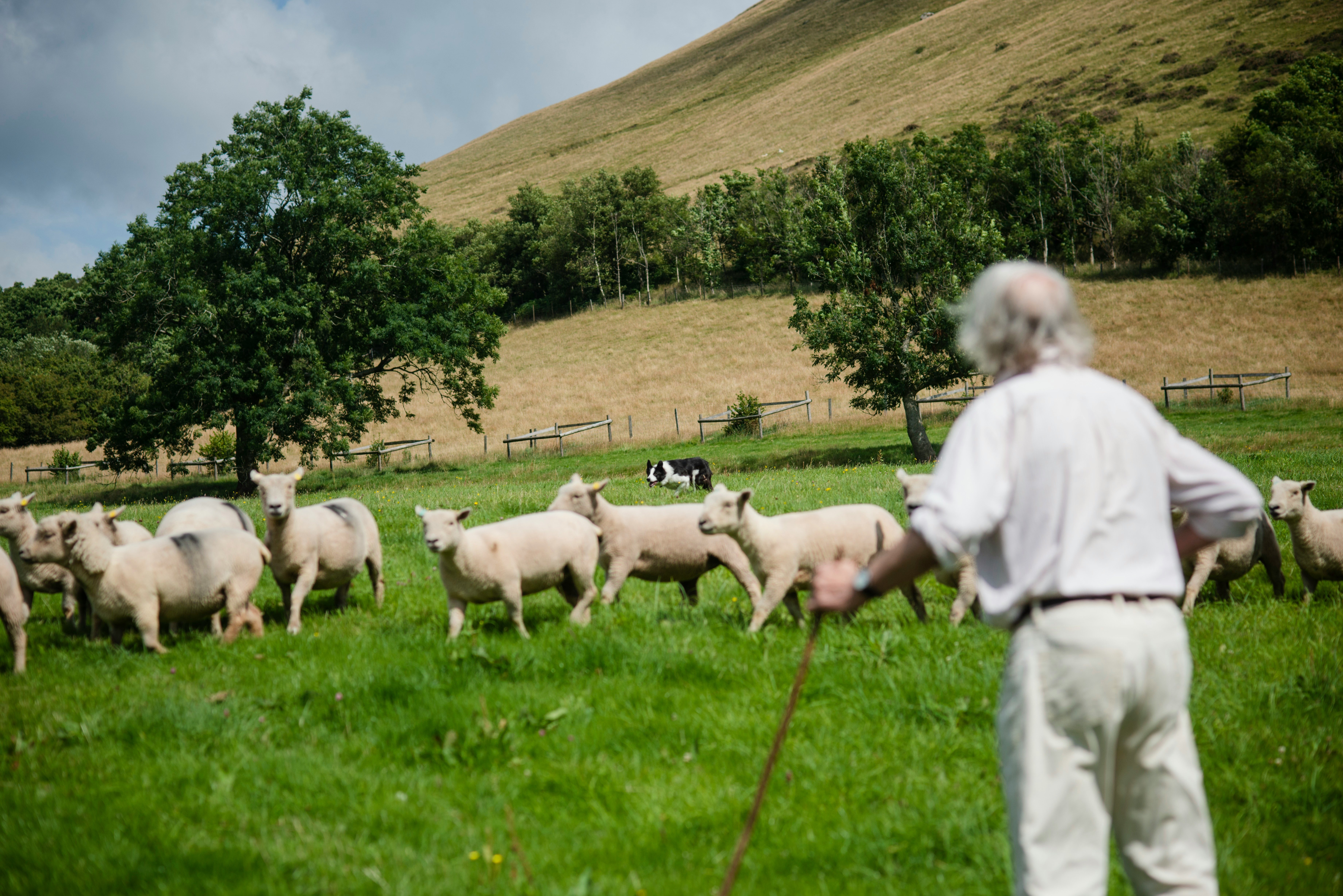 Crimestoppers launches campaign to protect Welsh countryside from crime ...